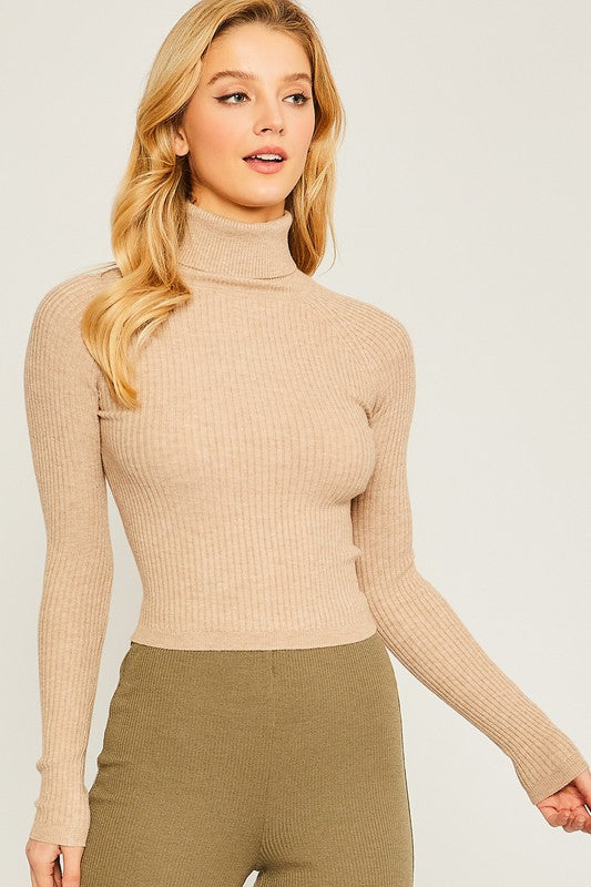 Turtleneck Ribbed Knit Top